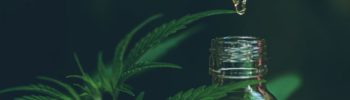 CBD que se sabe sobre esta sustancia
